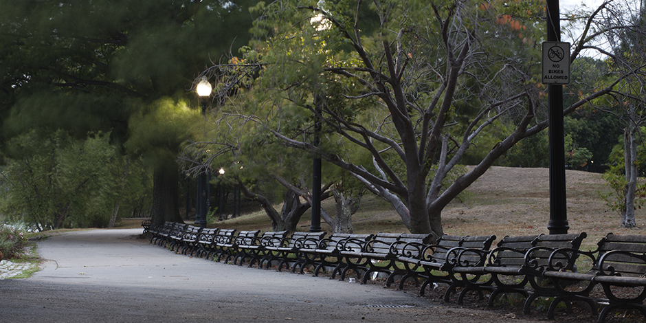 benches along jamaica pond